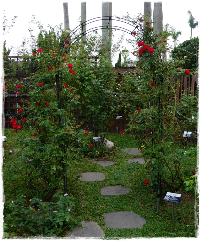 臺北玫瑰園秋季玫瑰展