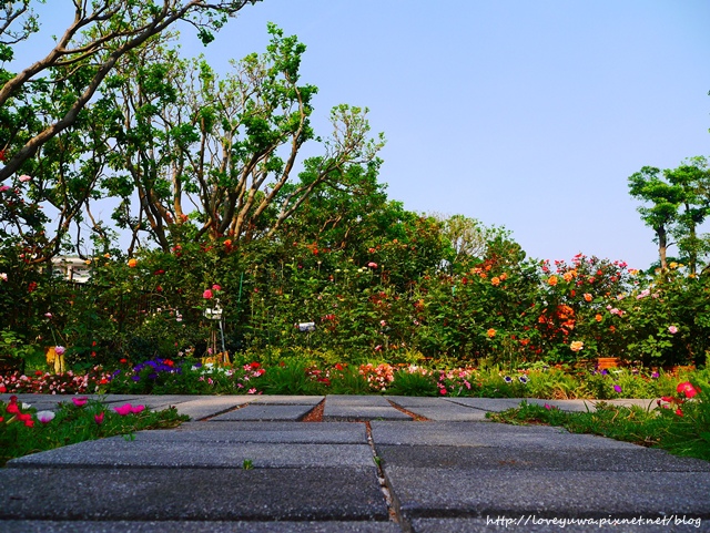 台北花博新生玫瑰園 台北花博新生玫瑰園