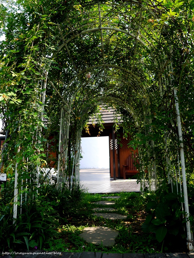 台北花博新生玫瑰園 台北花博新生玫瑰園