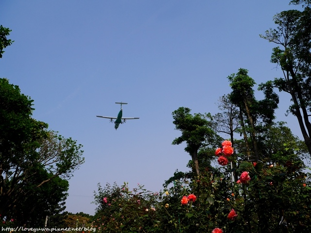台北花博新生玫瑰園 台北花博新生玫瑰園