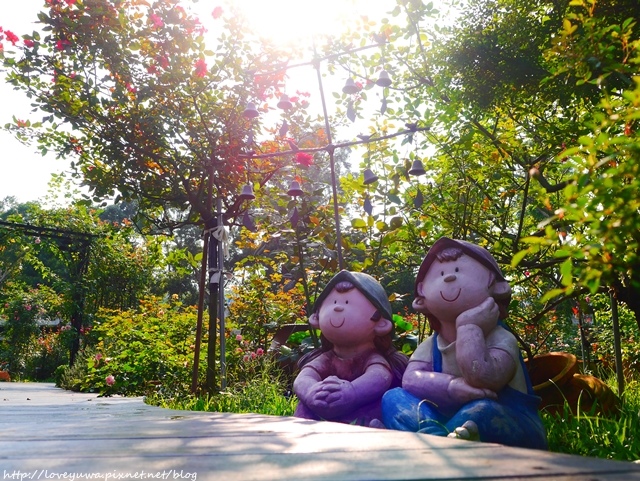 台北花博新生玫瑰園 台北花博新生玫瑰園