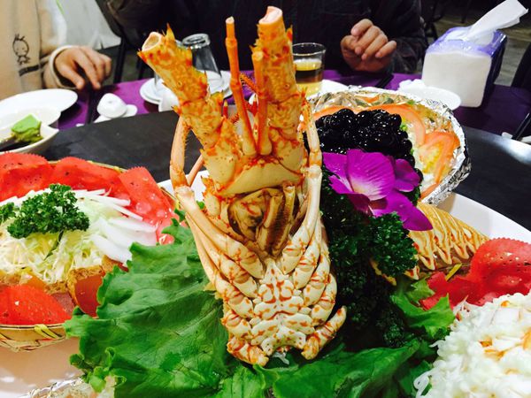 IMG_20160202_223937_565