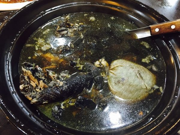 IMG_20160202_224132_154