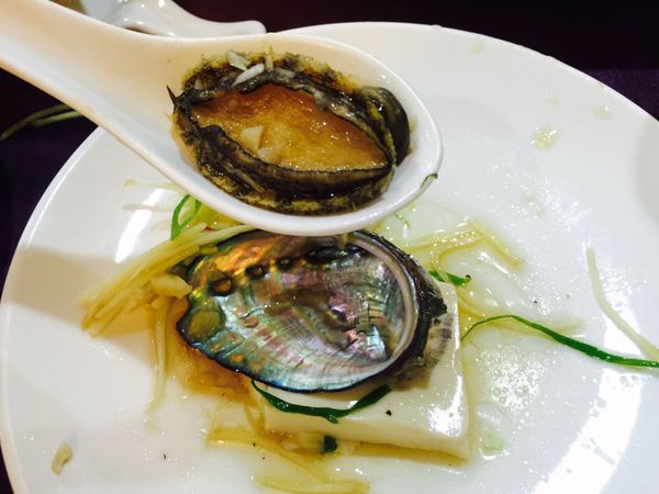 IMG_20160202_224052_115