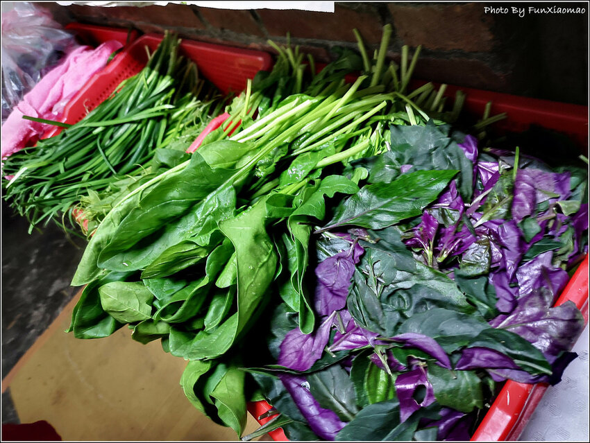 鄰長伯大湯圓 - 010.jpg