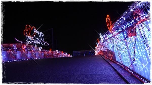 水晶情人橋:【台北◍•ᴗ•◍中山】景點・水晶情人橋・台北燈節✯捷運圓山站浪漫景點「愛.擁抱燈海」|跨於夜空的浪漫銀河 水晶情人橋:【台北◍•ᴗ•◍中山】景點・水晶情人橋・台北燈節✯捷運圓山站浪漫景點「愛.擁抱燈海」|跨於夜空的浪漫銀河