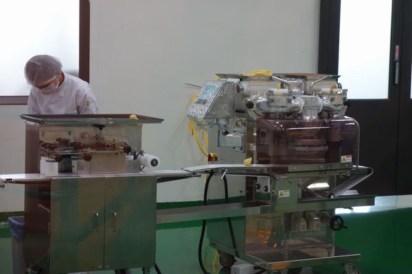 DSC06528.JPG DSC06528.JPG