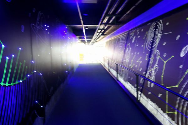 DSC06445.JPG DSC06445.JPG