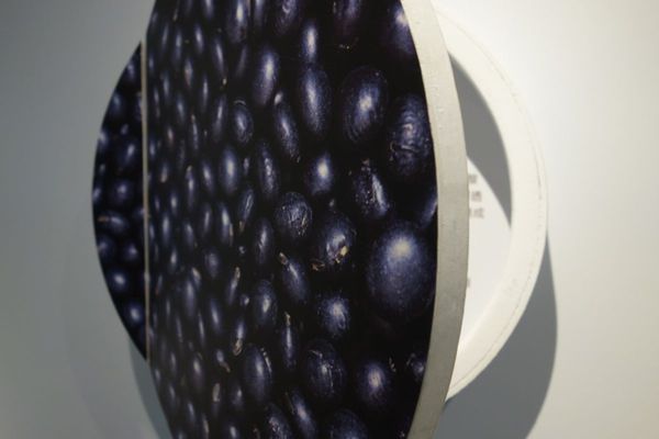 DSC06485.JPG DSC06485.JPG