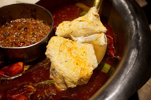 DSC08969.JPG DSC08969.JPG