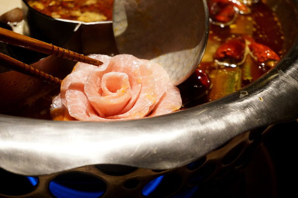 DSC08988.JPG DSC08988.JPG