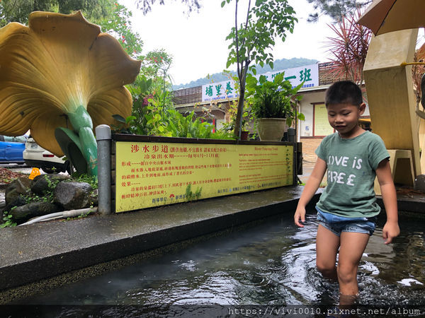 圓圓家出去玩-《南投景點》宏基蜜蜂生態農場，親子同遊好去處，來場與小蜜蜂的親密接觸