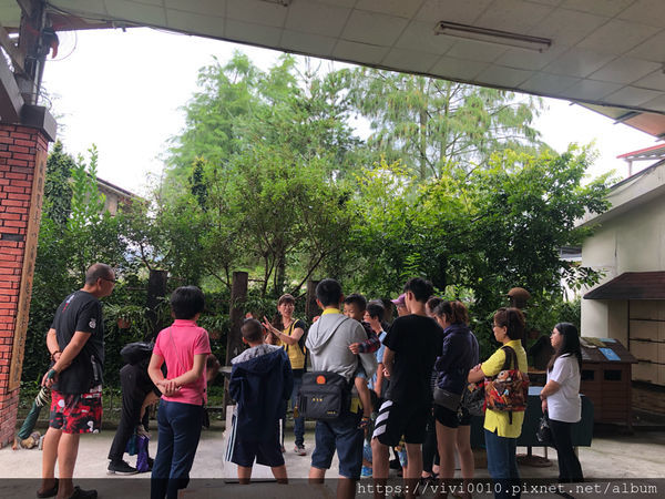 圓圓家出去玩-《南投景點》宏基蜜蜂生態農場，親子同遊好去處，來場與小蜜蜂的親密接觸