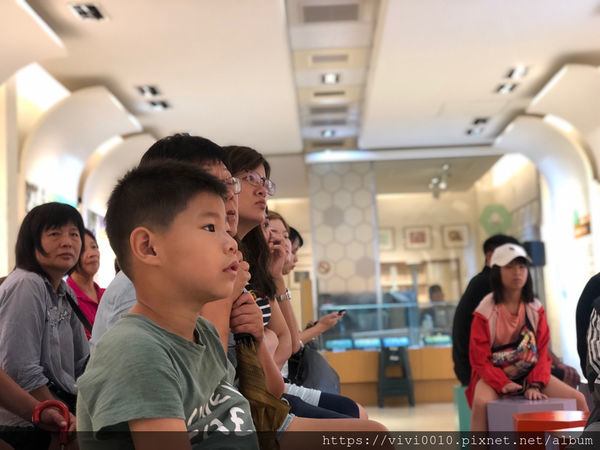 圓圓家出去玩-《南投景點》宏基蜜蜂生態農場，親子同遊好去處，來場與小蜜蜂的親密接觸