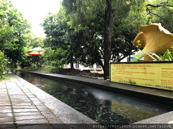 圓圓家出去玩-《南投景點》宏基蜜蜂生態農場，親子同遊好去處，來場與小蜜蜂的親密接觸