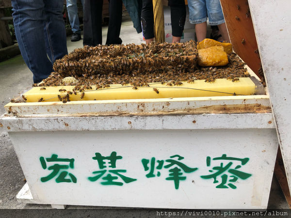 圓圓家出去玩-《南投景點》宏基蜜蜂生態農場，親子同遊好去處，來場與小蜜蜂的親密接觸