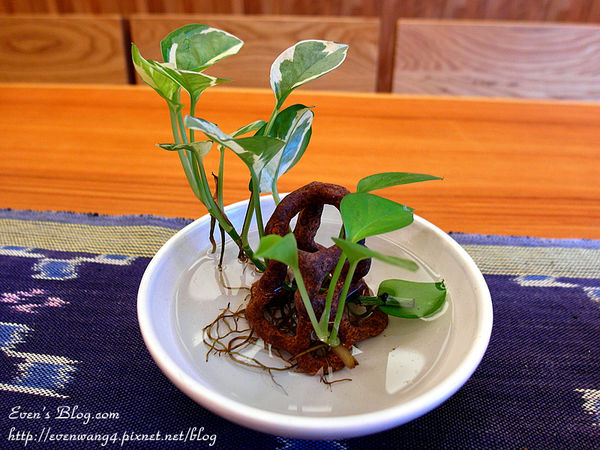 SAM_4632_副本.jpg SAM_4632_副本.jpg