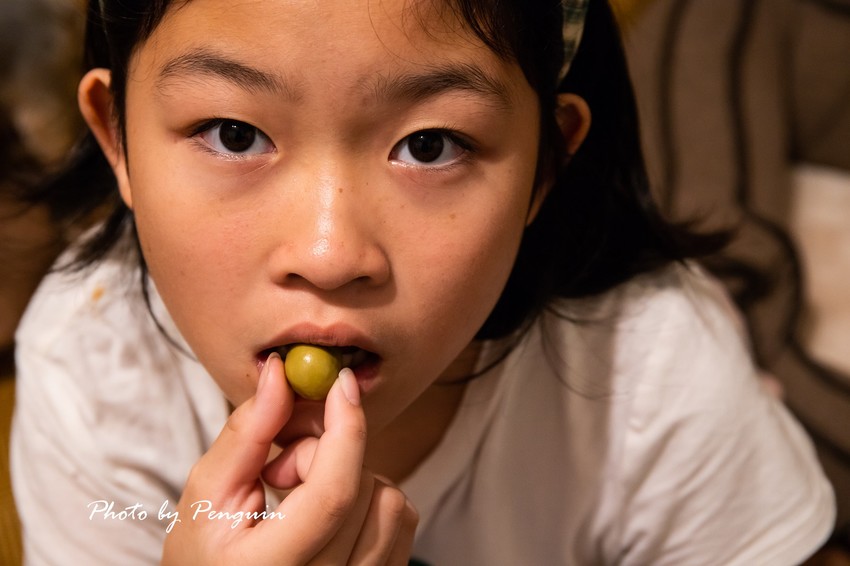 宅配．CONA’S CHOCOLATE 妮娜巧克力夢想城堡．品嘗香醇濃郁的巧克力芬芳．到南投必敗伴手禮，現在宅配也能夠吃到。