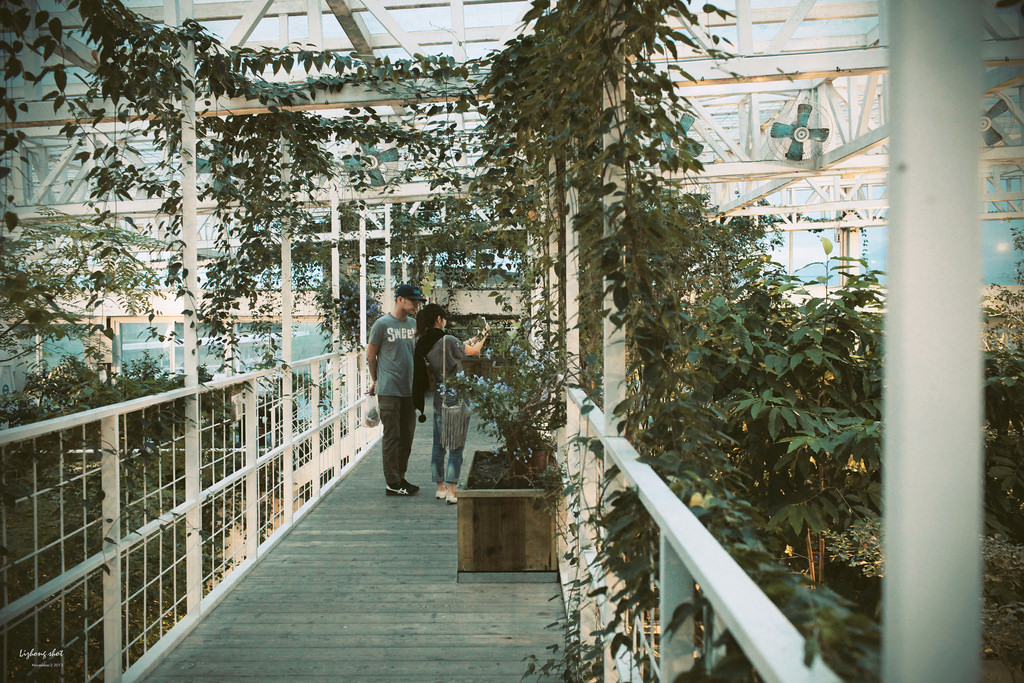 宜蘭香草菲菲的植物園藝課
