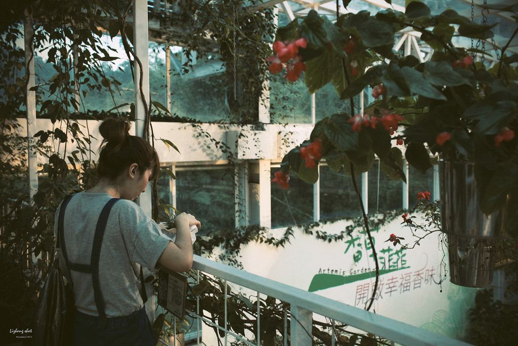 宜蘭香草菲菲的植物園藝課