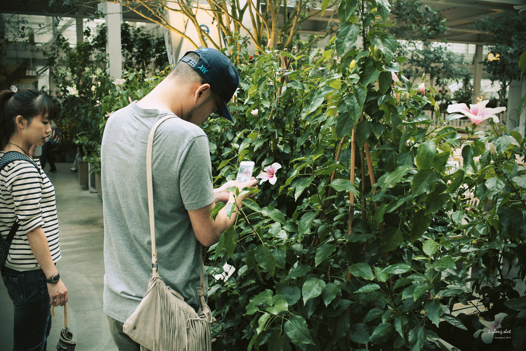 宜蘭香草菲菲的植物園藝課