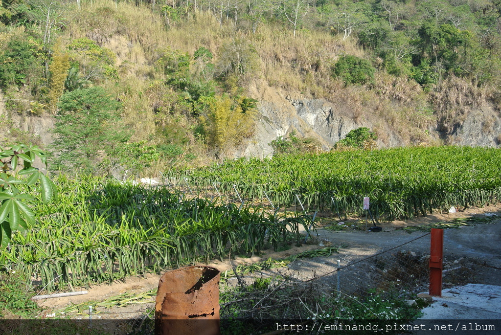 DSC_5945.JPG DSC_5945.JPG