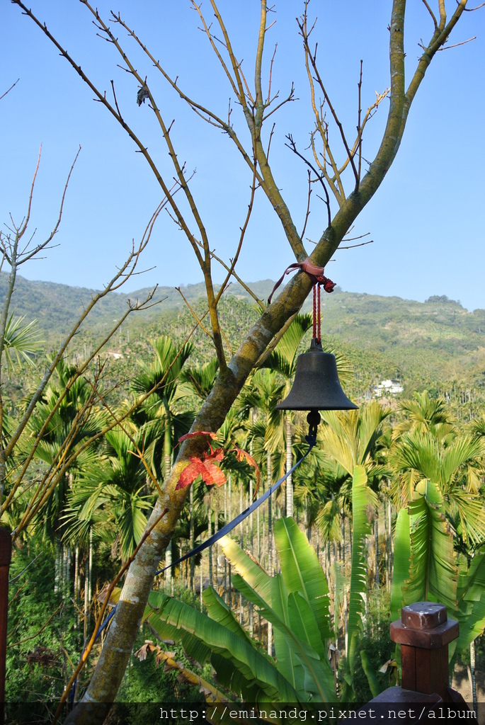 DSC_5924.JPG DSC_5924.JPG