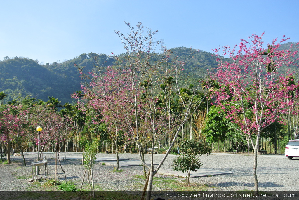 DSC_5912.JPG DSC_5912.JPG