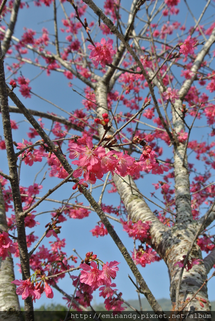 DSC_5915.JPG DSC_5915.JPG