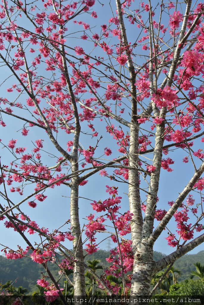 DSC_5914.JPG DSC_5914.JPG