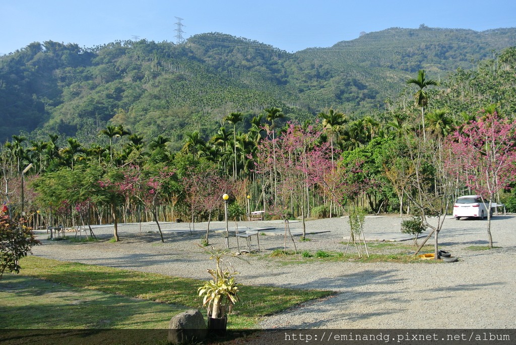 DSC_5908.JPG DSC_5908.JPG