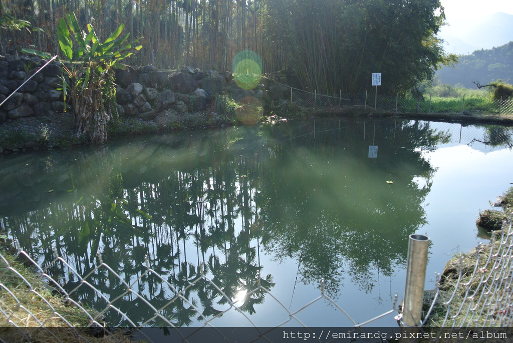 DSC_5950.JPG DSC_5950.JPG