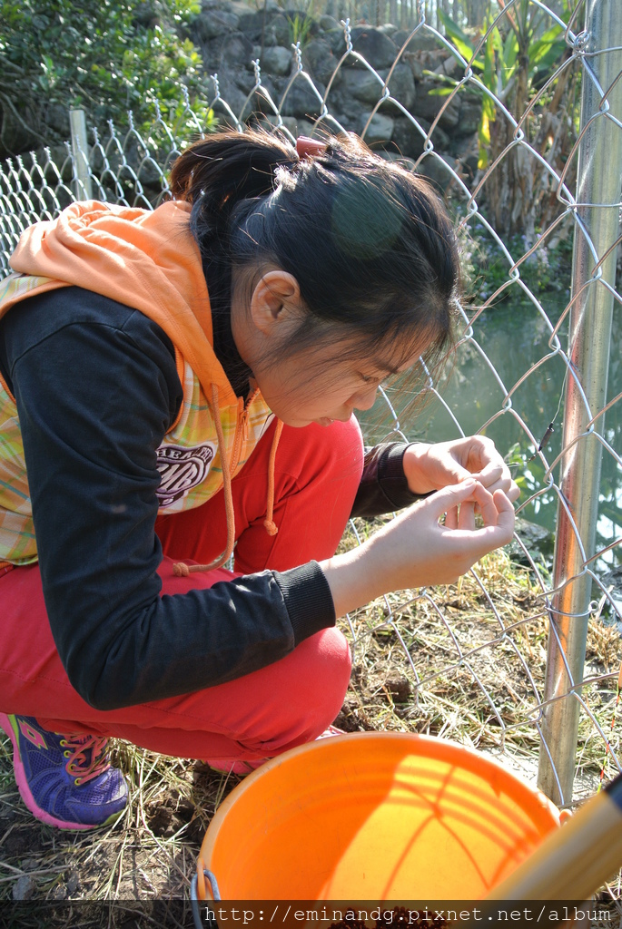 DSC_5969.JPG DSC_5969.JPG