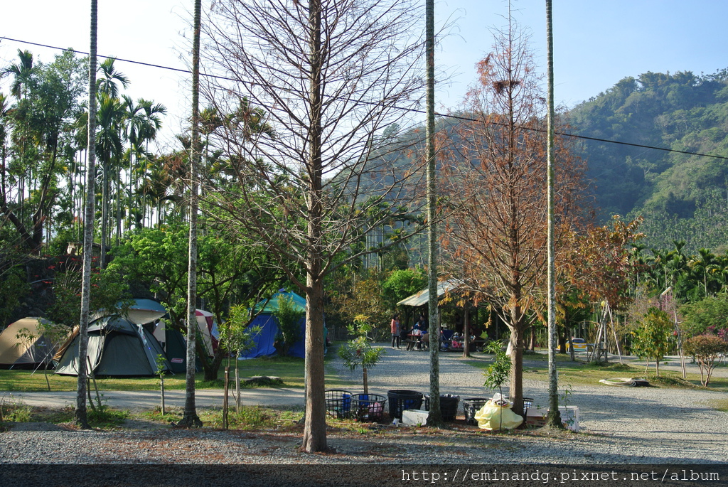 DSC_5903.JPG DSC_5903.JPG