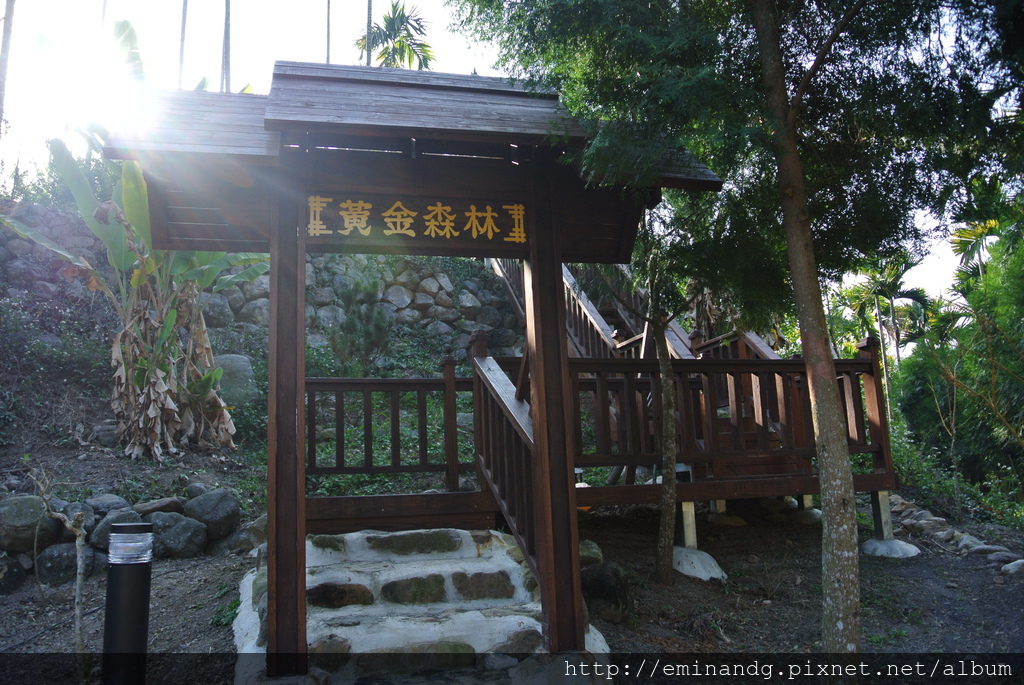 DSC_5921.JPG DSC_5921.JPG