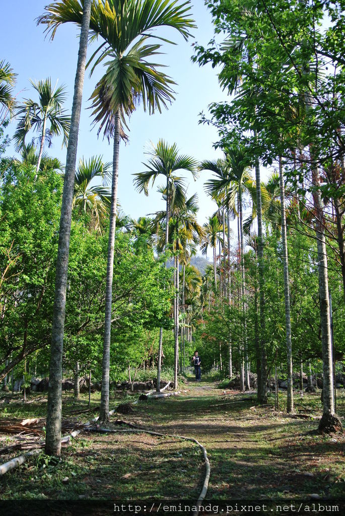 DSC_5926.JPG DSC_5926.JPG