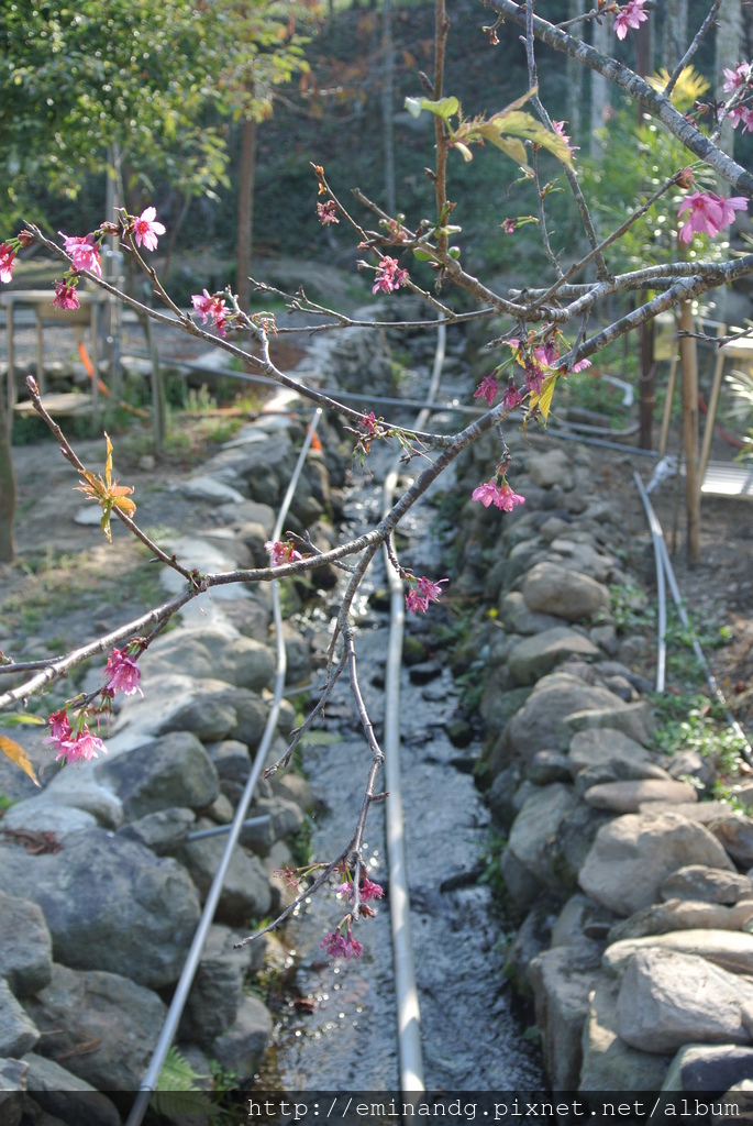 DSC_5920.JPG DSC_5920.JPG