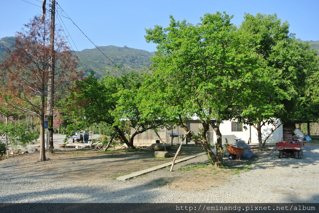 DSC_5904.JPG DSC_5904.JPG