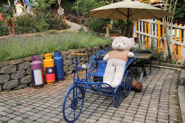 今夜星辰休閒農場：【彰化景點】今夜星辰休閒農場。超浪漫的LOVE愛心場景/童話般的婚紗外拍場景/草泥馬&駱馬&小動物餵食/情侶親子的輕旅行