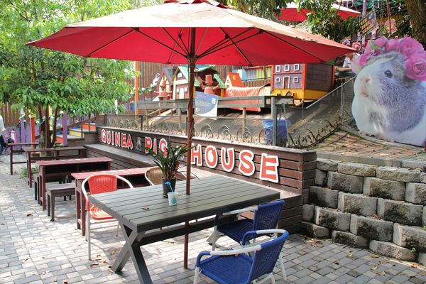 今夜星辰休閒農場：【彰化景點】今夜星辰休閒農場。超浪漫的LOVE愛心場景/童話般的婚紗外拍場景/草泥馬&駱馬&小動物餵食/情侶親子的輕旅行