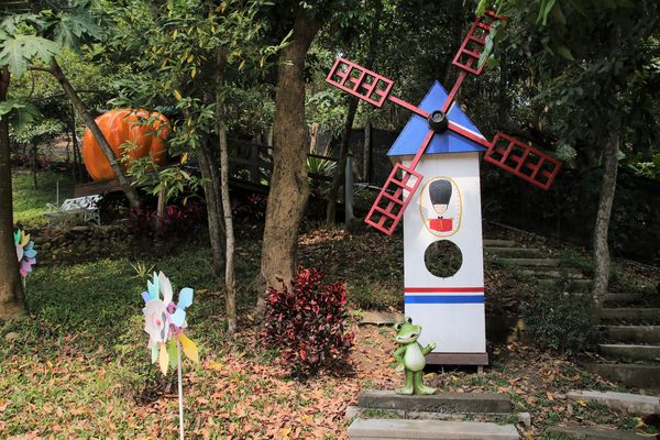 今夜星辰休閒農場：【彰化景點】今夜星辰休閒農場。超浪漫的LOVE愛心場景/童話般的婚紗外拍場景/草泥馬&駱馬&小動物餵食/情侶親子的輕旅行