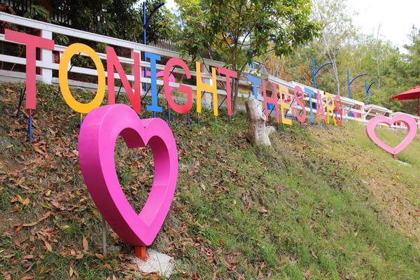 今夜星辰休閒農場：【彰化景點】今夜星辰休閒農場。超浪漫的LOVE愛心場景/童話般的婚紗外拍場景/草泥馬&駱馬&小動物餵食/情侶親子的輕旅行