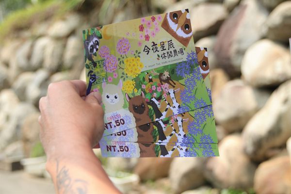 今夜星辰休閒農場：【彰化景點】今夜星辰休閒農場。超浪漫的LOVE愛心場景/童話般的婚紗外拍場景/草泥馬&駱馬&小動物餵食/情侶親子的輕旅行