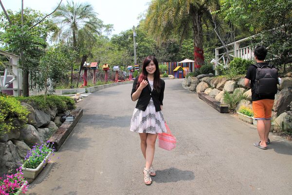 今夜星辰休閒農場：【彰化景點】今夜星辰休閒農場。超浪漫的LOVE愛心場景/童話般的婚紗外拍場景/草泥馬&駱馬&小動物餵食/情侶親子的輕旅行