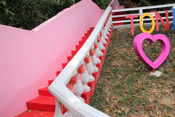 今夜星辰休閒農場：【彰化景點】今夜星辰休閒農場。超浪漫的LOVE愛心場景/童話般的婚紗外拍場景/草泥馬&駱馬&小動物餵食/情侶親子的輕旅行