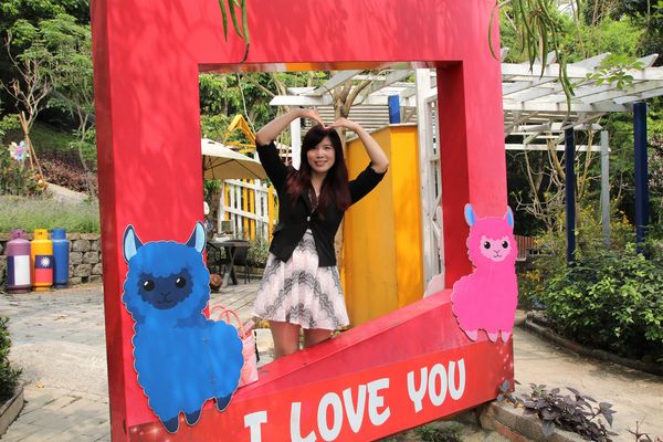 今夜星辰休閒農場：【彰化景點】今夜星辰休閒農場。超浪漫的LOVE愛心場景/童話般的婚紗外拍場景/草泥馬&駱馬&小動物餵食/情侶親子的輕旅行