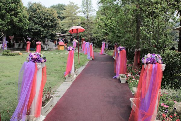 今夜星辰休閒農場：【彰化景點】今夜星辰休閒農場。超浪漫的LOVE愛心場景/童話般的婚紗外拍場景/草泥馬&駱馬&小動物餵食/情侶親子的輕旅行