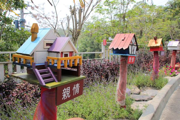 今夜星辰休閒農場：【彰化景點】今夜星辰休閒農場。超浪漫的LOVE愛心場景/童話般的婚紗外拍場景/草泥馬&駱馬&小動物餵食/情侶親子的輕旅行