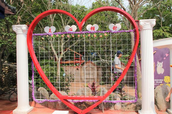 今夜星辰休閒農場：【彰化景點】今夜星辰休閒農場。超浪漫的LOVE愛心場景/童話般的婚紗外拍場景/草泥馬&駱馬&小動物餵食/情侶親子的輕旅行