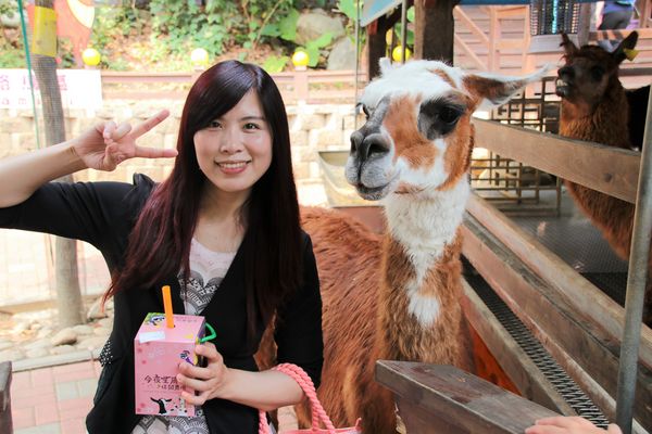 今夜星辰休閒農場：【彰化景點】今夜星辰休閒農場。超浪漫的LOVE愛心場景/童話般的婚紗外拍場景/草泥馬&駱馬&小動物餵食/情侶親子的輕旅行